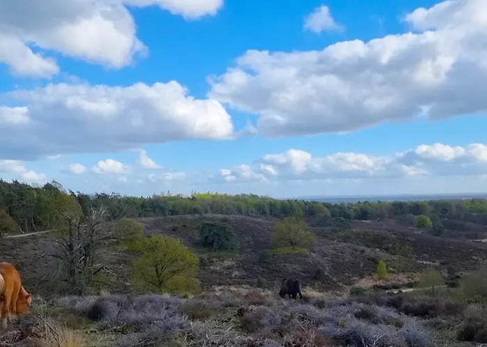 Bed Op Steeg / Apartment